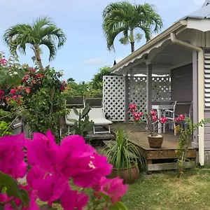 https://ti-mango-vue-mer.comcaribbean.com